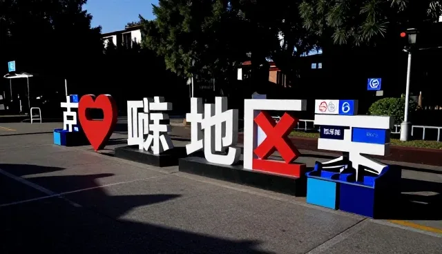 区域应用开发在本地化场景中的关键作用